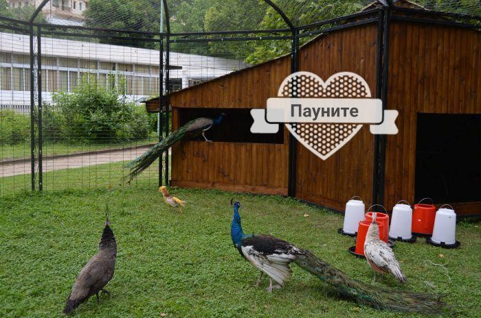 Д И В 1 - D & V 1 Apartment Sandanski Esterno foto
